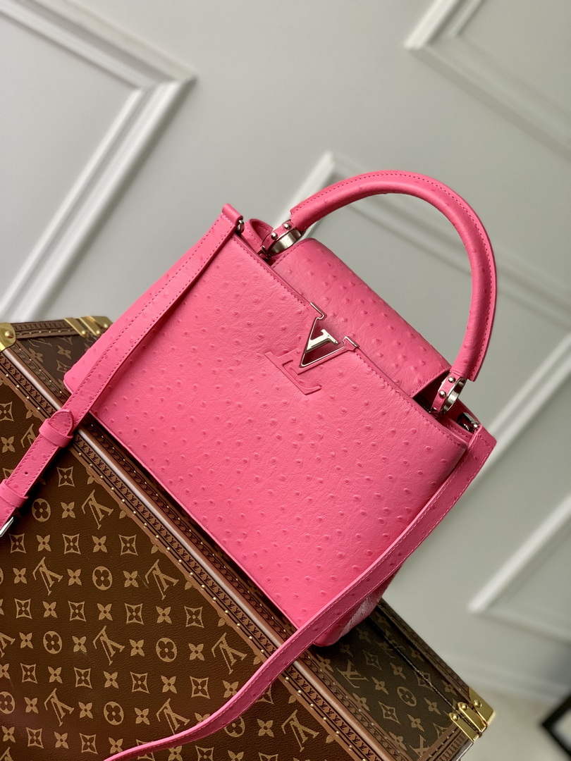 LV N81279 Louis Vuitton Capucines MM Handbag Plum - Default Title - View 1