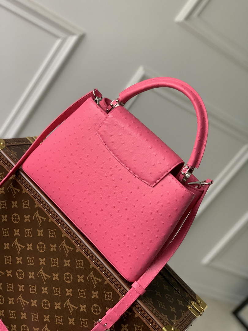 LV N81279 Louis Vuitton Capucines MM Handbag Plum