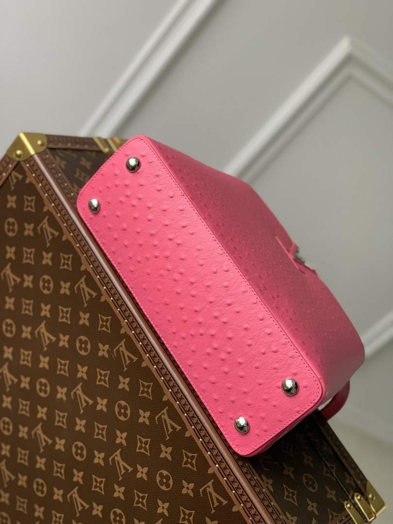 LV N81279 Louis Vuitton Capucines MM Handbag Plum