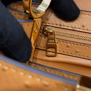 LV N81523 Louis Vuitton Capucines BB Handbag Brown - Default Title - View 8