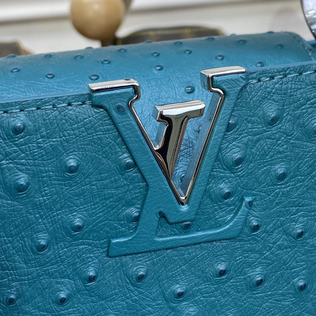 LV N81523 Louis Vuitton Capucines BB Handbag Lake blue - Default Title - View 6