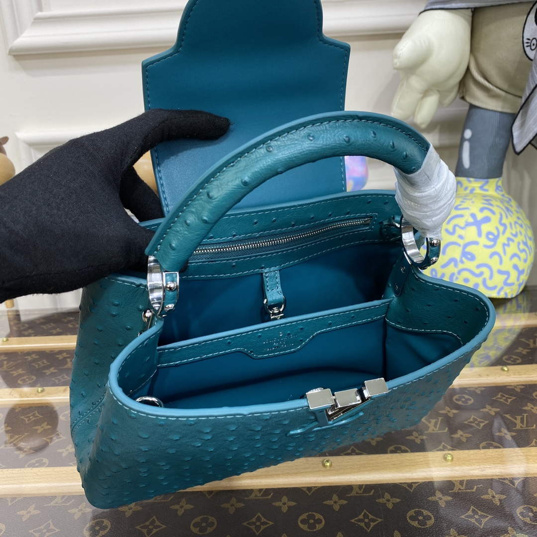 LV N81523 Louis Vuitton Capucines BB Handbag Lake blue - Default Title - View 9