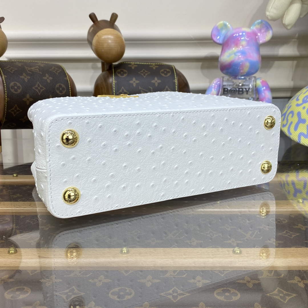 LV N81523 Louis Vuitton Capucines BB Handbag White - Default Title - View 4