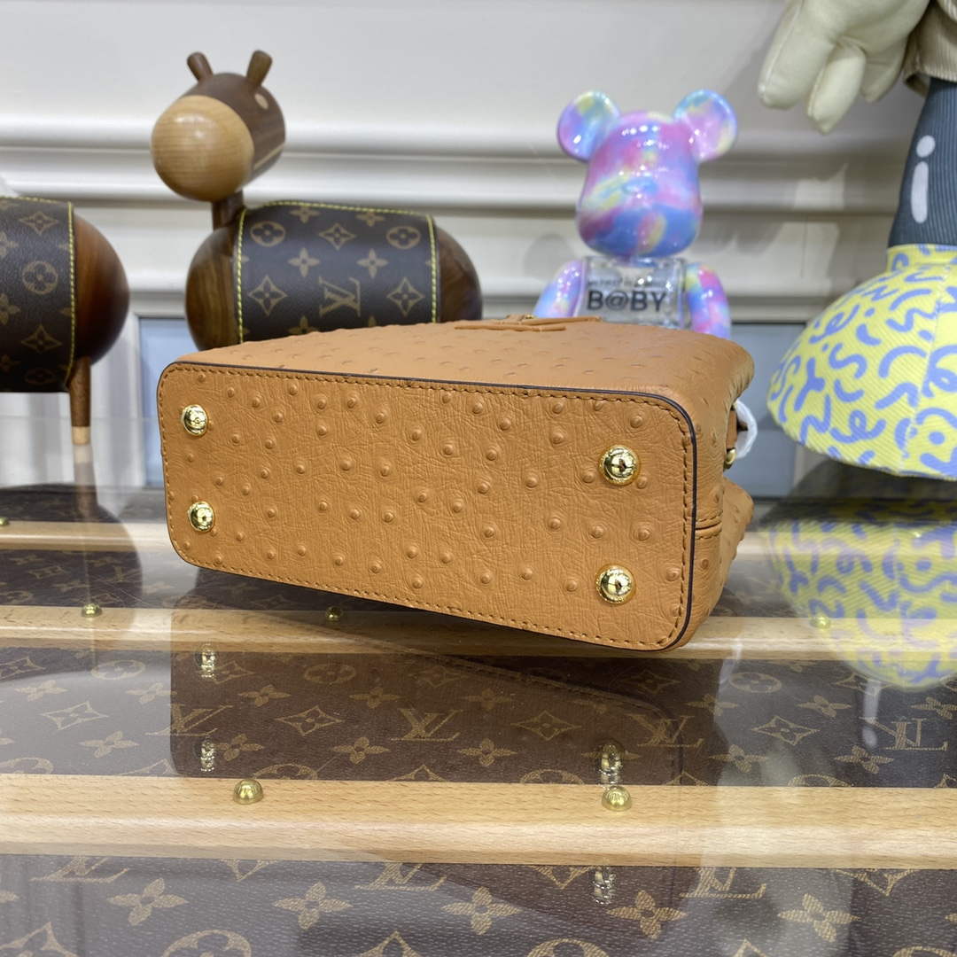 LV N81523 Louis Vuitton Capucines Mini Handbag Brown - Default Title - View 5