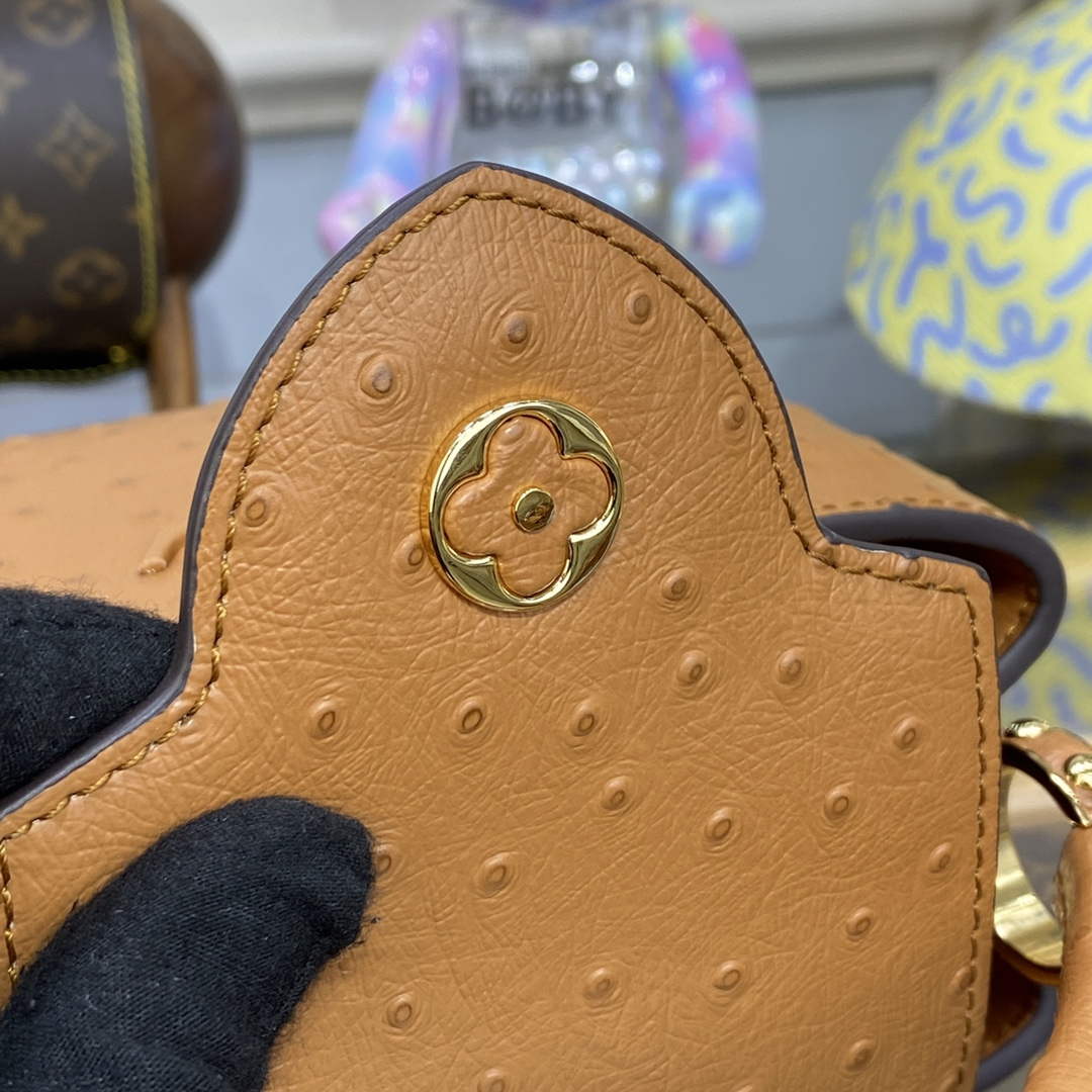 LV N81523 Louis Vuitton Capucines Mini Handbag Brown - Default Title - View 8