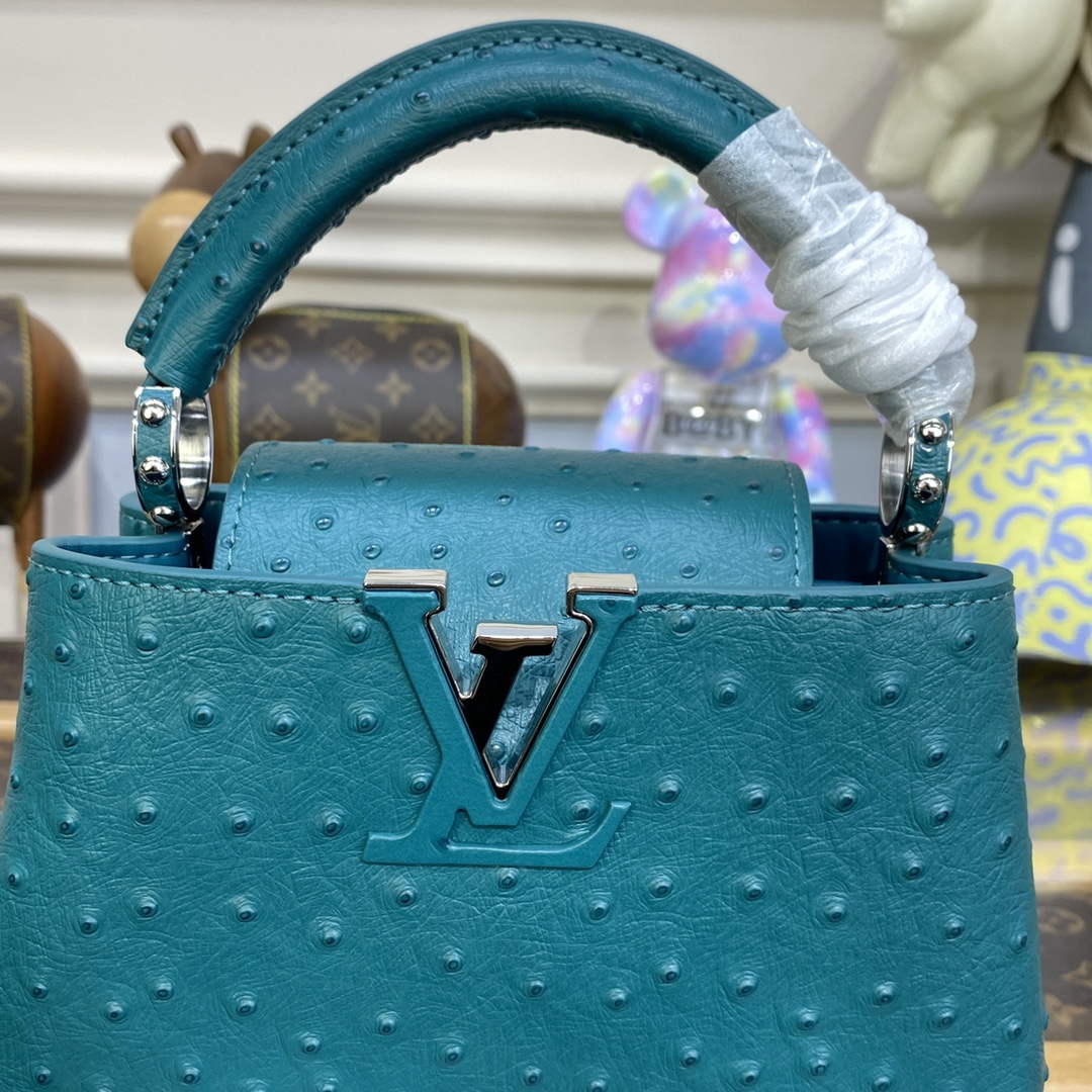 LV N81523 Louis Vuitton Capucines Mini Handbag Lake blue - Default Title - View 5