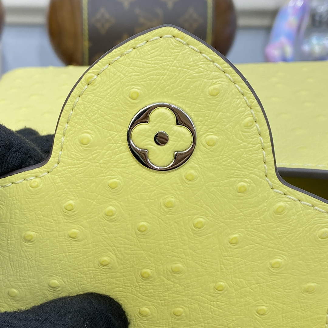 LV N81523 Louis Vuitton Capucines Mini Handbag lemon yellow - Default Title - View 8