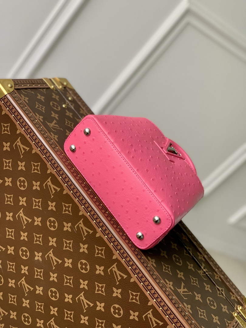 LV N81523 Louis Vuitton Capucines Mini Handbag Plum - Default Title - View 4
