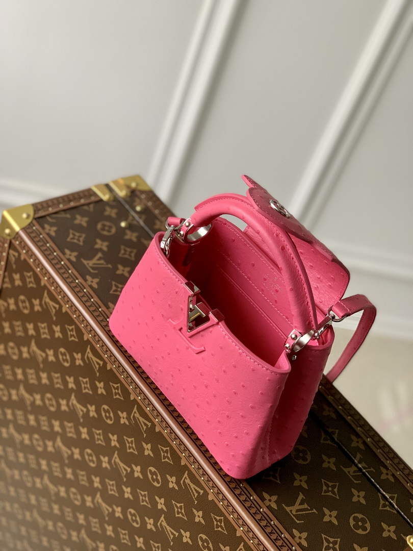 LV N81523 Louis Vuitton Capucines Mini Handbag Plum - Default Title - View 5