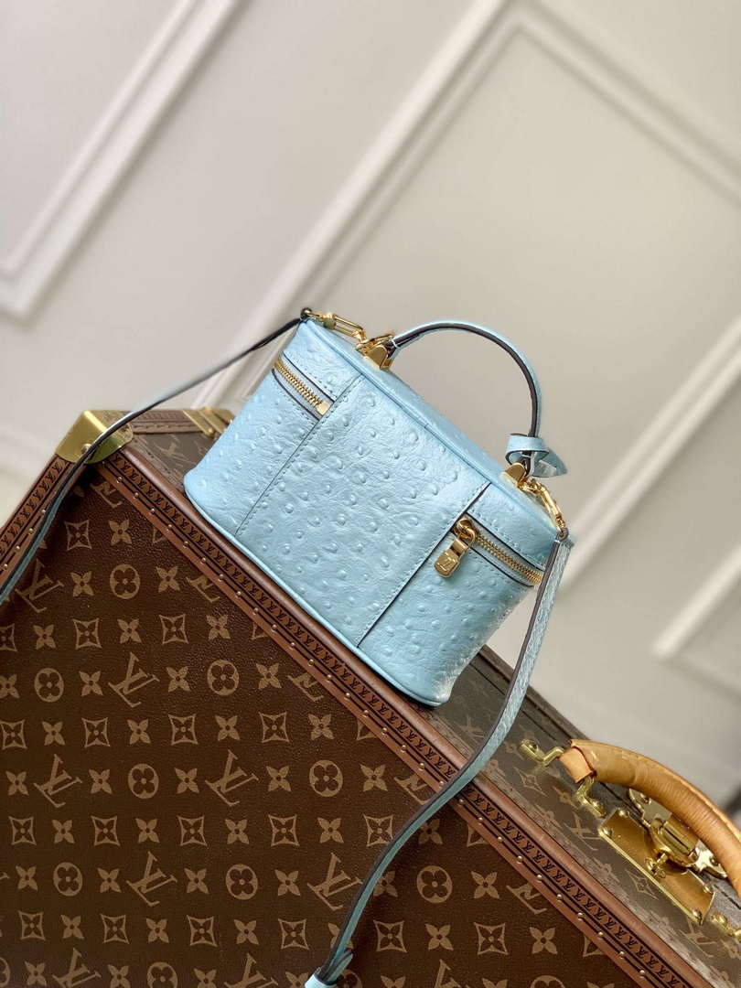 LV N85806 Louis Vuitton Vanity Chain Pouch Ostrich leather Bag Blue Glaze