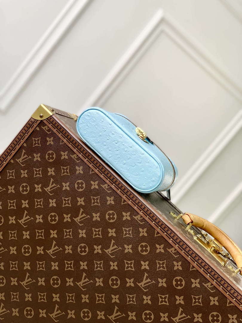 LV N85806 Louis Vuitton Vanity Chain Pouch Ostrich leather Bag Blue Glaze