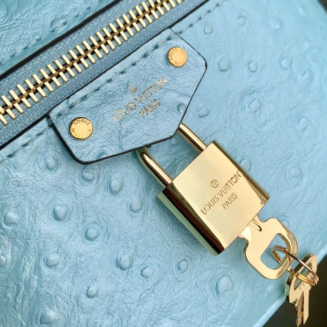 LV N85806 Louis Vuitton Vanity Chain Pouch Ostrich leather Bag Blue Glaze
