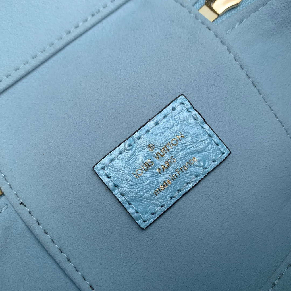 LV N85806 Louis Vuitton Vanity Chain Pouch Ostrich leather Bag Blue Glaze