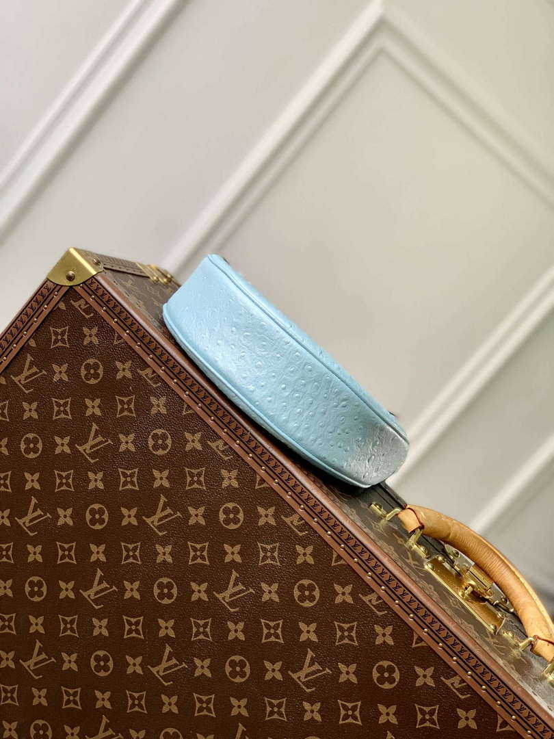 LV N85900 Louis Vuitton Loop Pm Ostrich leather Bag Blue Glaze - Default Title - View 4