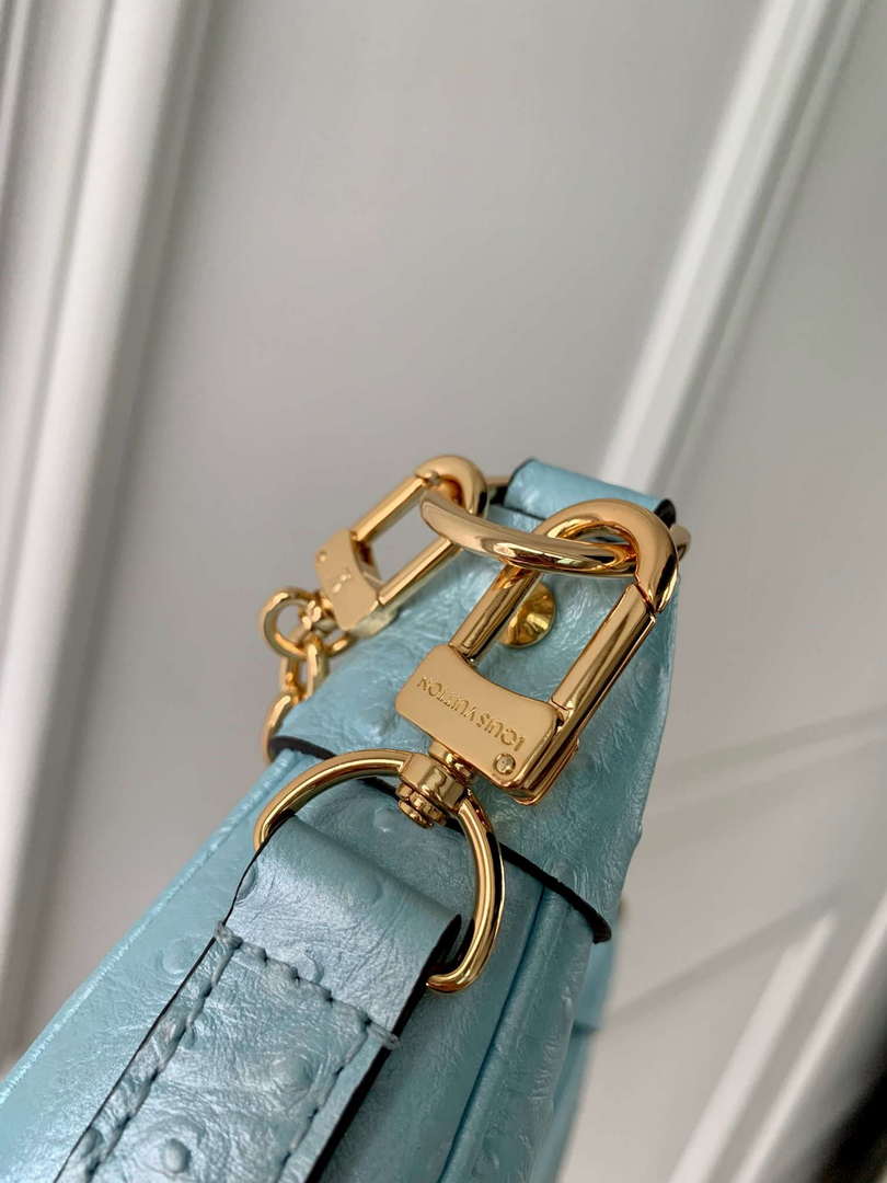 LV N85900 Louis Vuitton Loop Pm Ostrich leather Bag Blue Glaze - Default Title - View 7