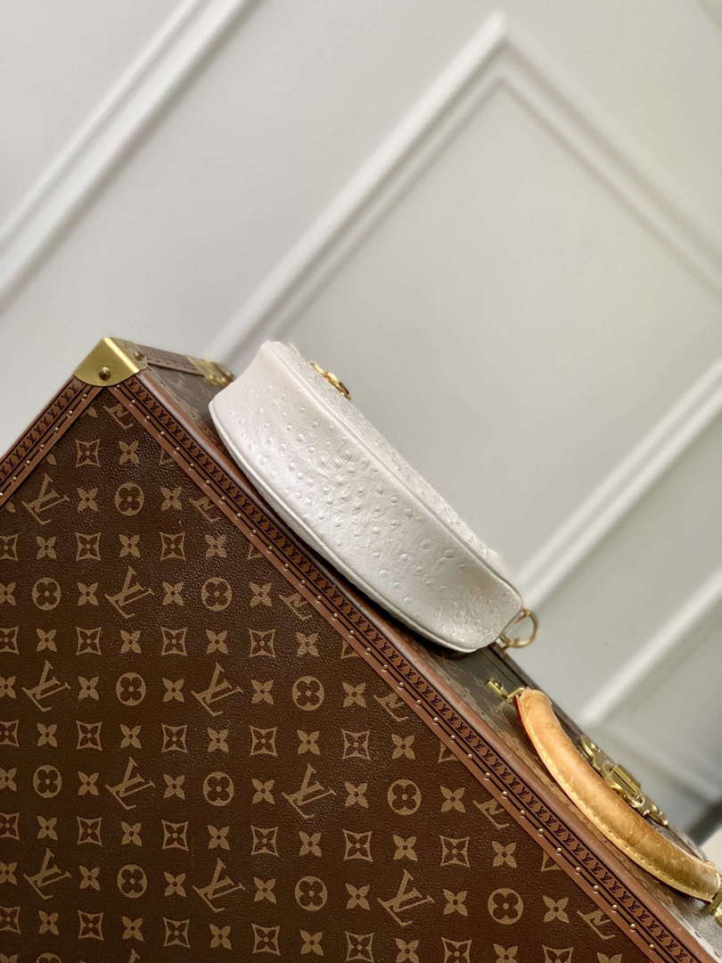 LV N85900 Louis Vuitton Loop Pm Ostrich leather Bag White Pearl