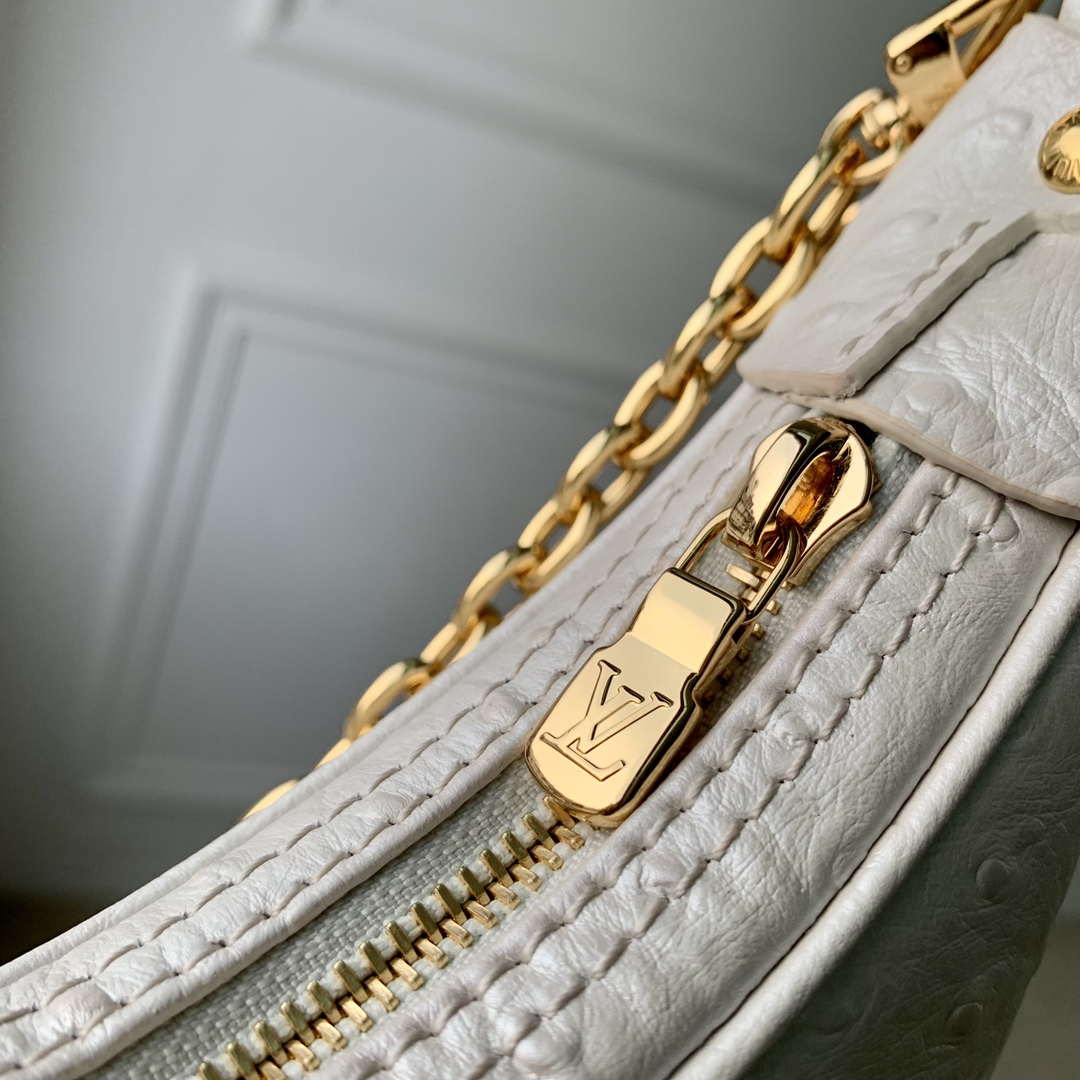LV N85900 Louis Vuitton Loop Pm Ostrich leather Bag White Pearl - Default Title - View 5