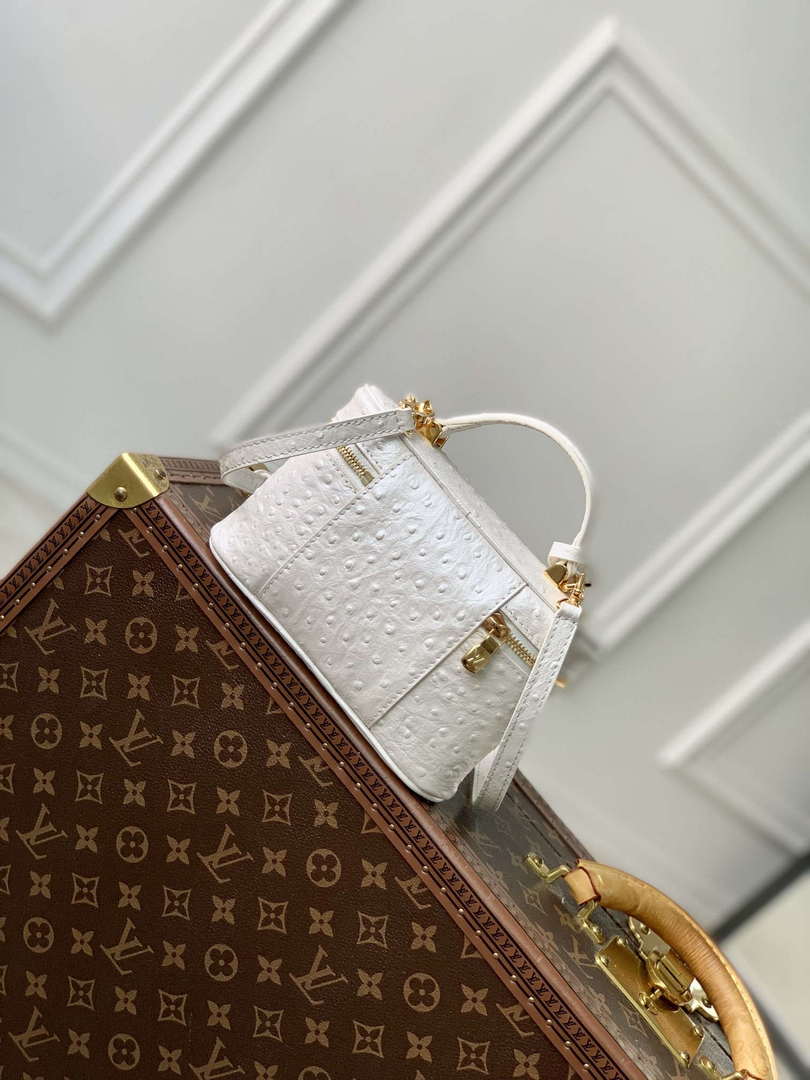 LV N85911 Louis Vuitton Vanity Chain Pouch Ostrich leather Bag White Pearl - Default Title - View 3