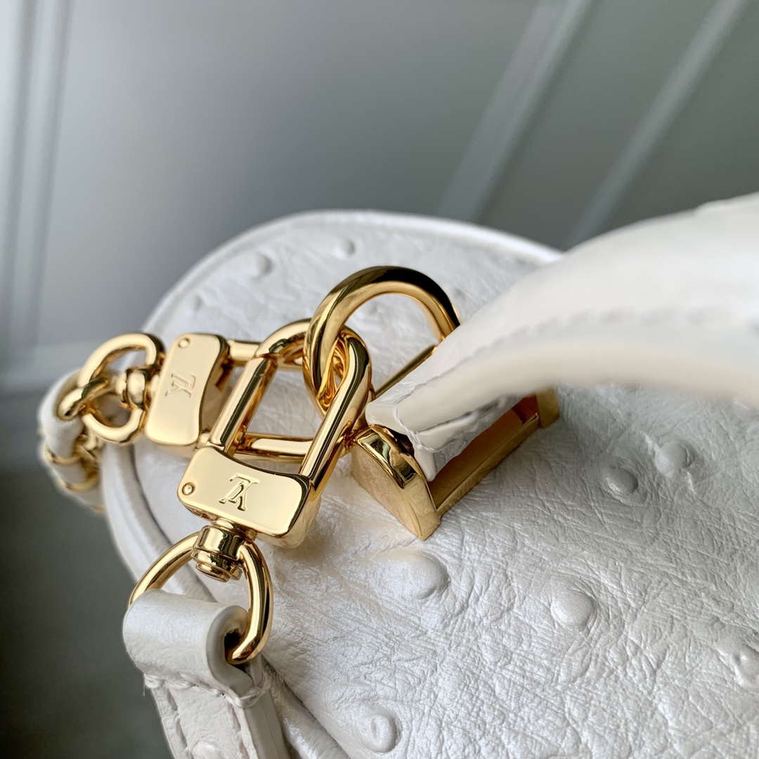 LV N85911 Louis Vuitton Vanity Chain Pouch Ostrich leather Bag White Pearl - Default Title - View 6
