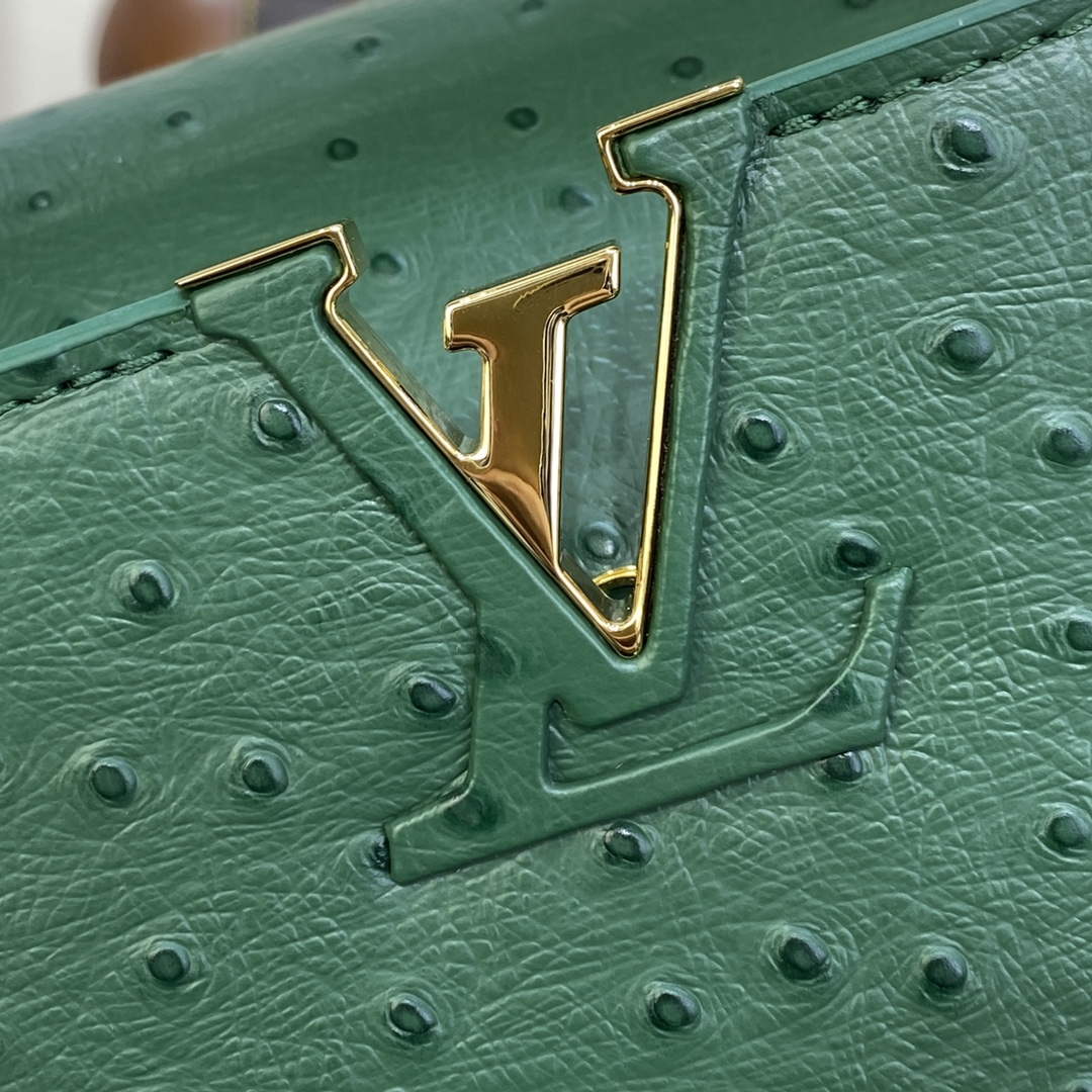 LV N93075 Louis Vuitton Capucines BB Handbag Mint Green - Default Title - View 5