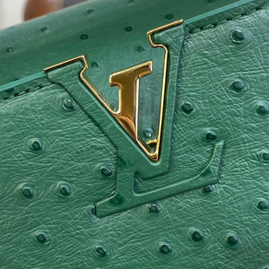 LV N93075 Louis Vuitton Capucines BB Handbag Mint Green - Default Title - View 5