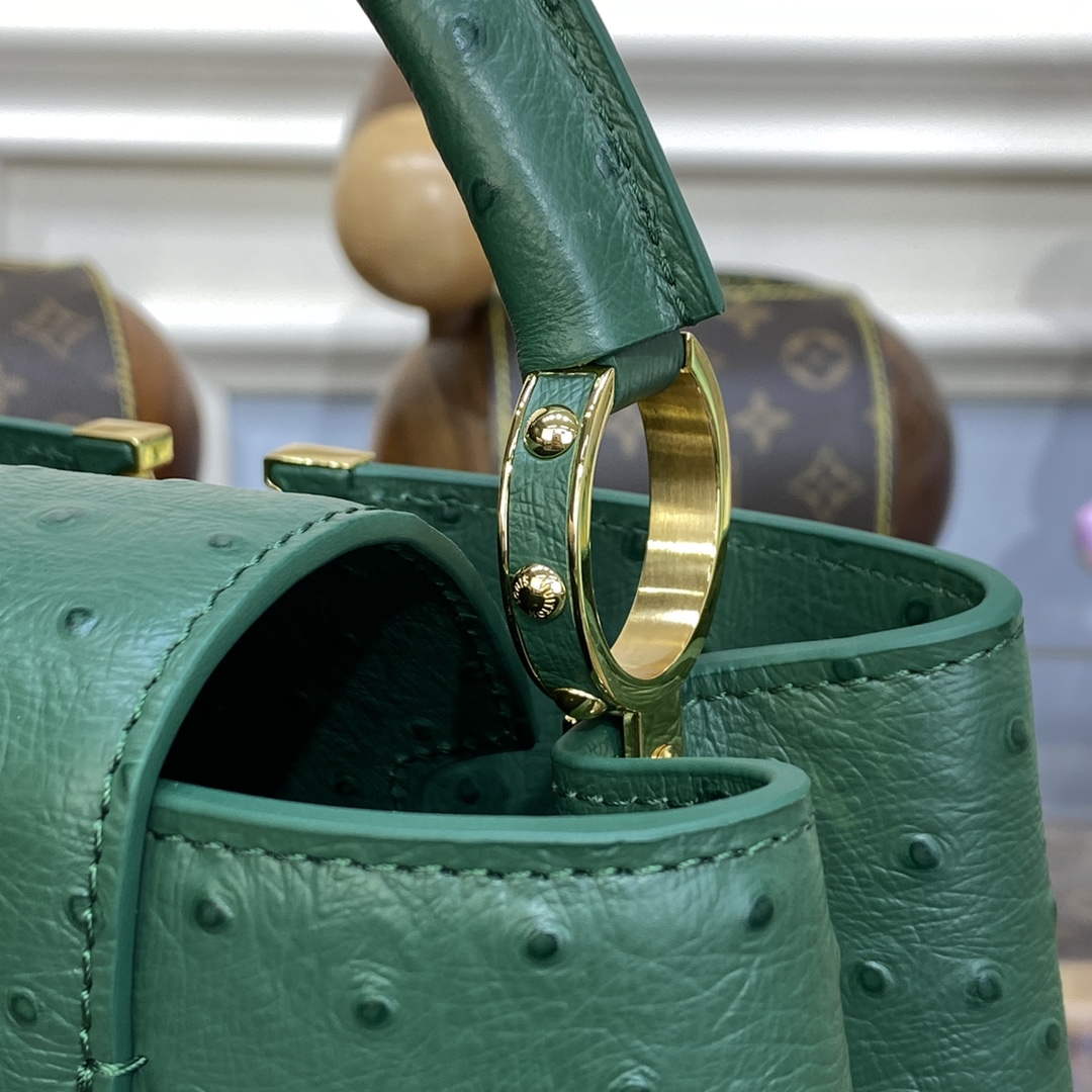 LV N93075 Louis Vuitton Capucines BB Handbag Mint Green - Default Title - View 6
