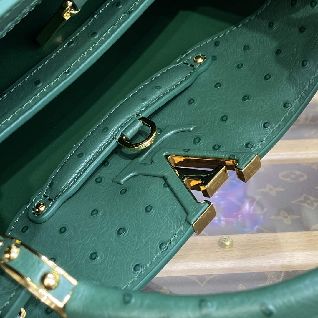 LV N93075 Louis Vuitton Capucines BB Handbag Mint Green - Default Title - View 7