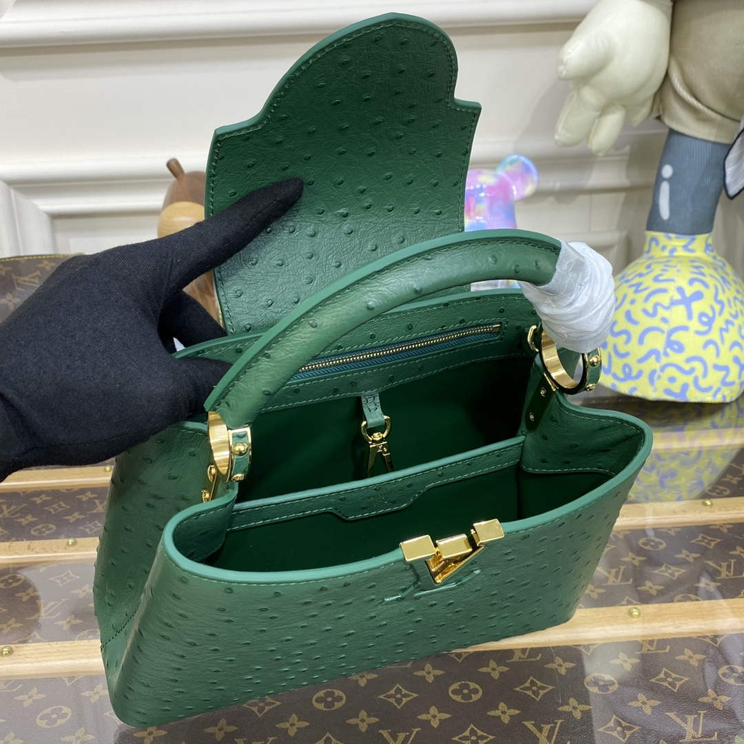 LV N93075 Louis Vuitton Capucines BB Handbag Mint Green - Default Title - View 9