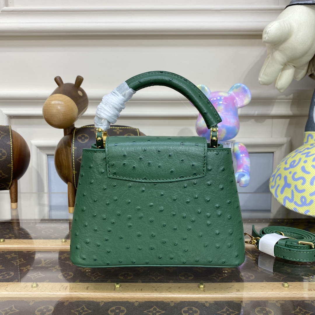 LV N93075 Louis Vuitton Capucines Mini Handbag Mint Green - Default Title - View 3