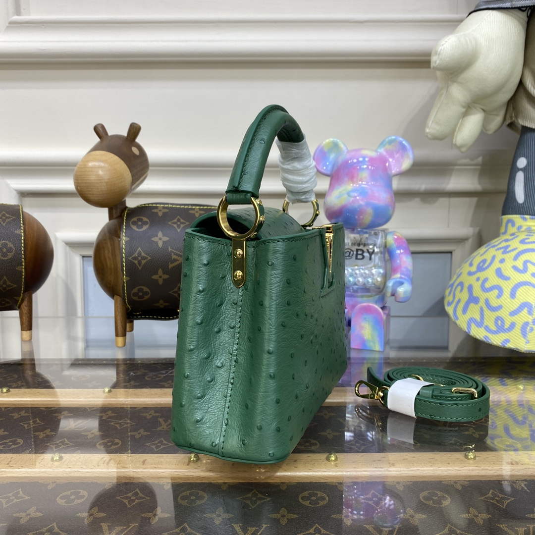 LV N93075 Louis Vuitton Capucines Mini Handbag Mint Green - Default Title - View 4