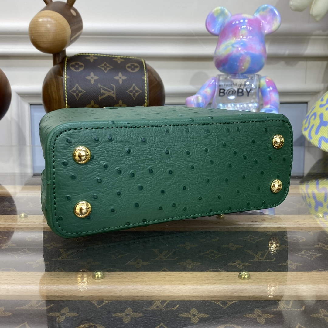 LV N93075 Louis Vuitton Capucines Mini Handbag Mint Green - Default Title - View 5
