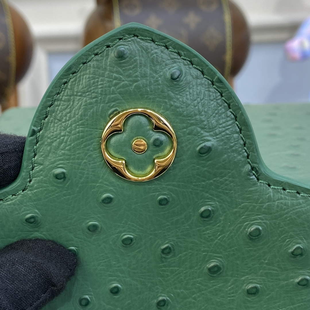 LV N93075 Louis Vuitton Capucines Mini Handbag Mint Green - Default Title - View 8