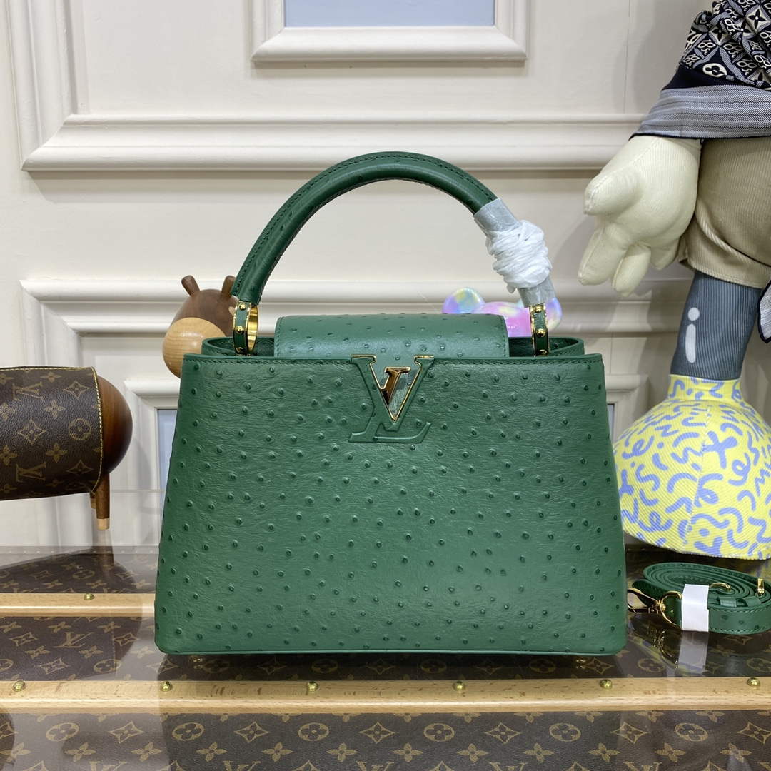LV N93075 Louis Vuitton Capucines MM Handbag Mint Green - Default Title - View 1