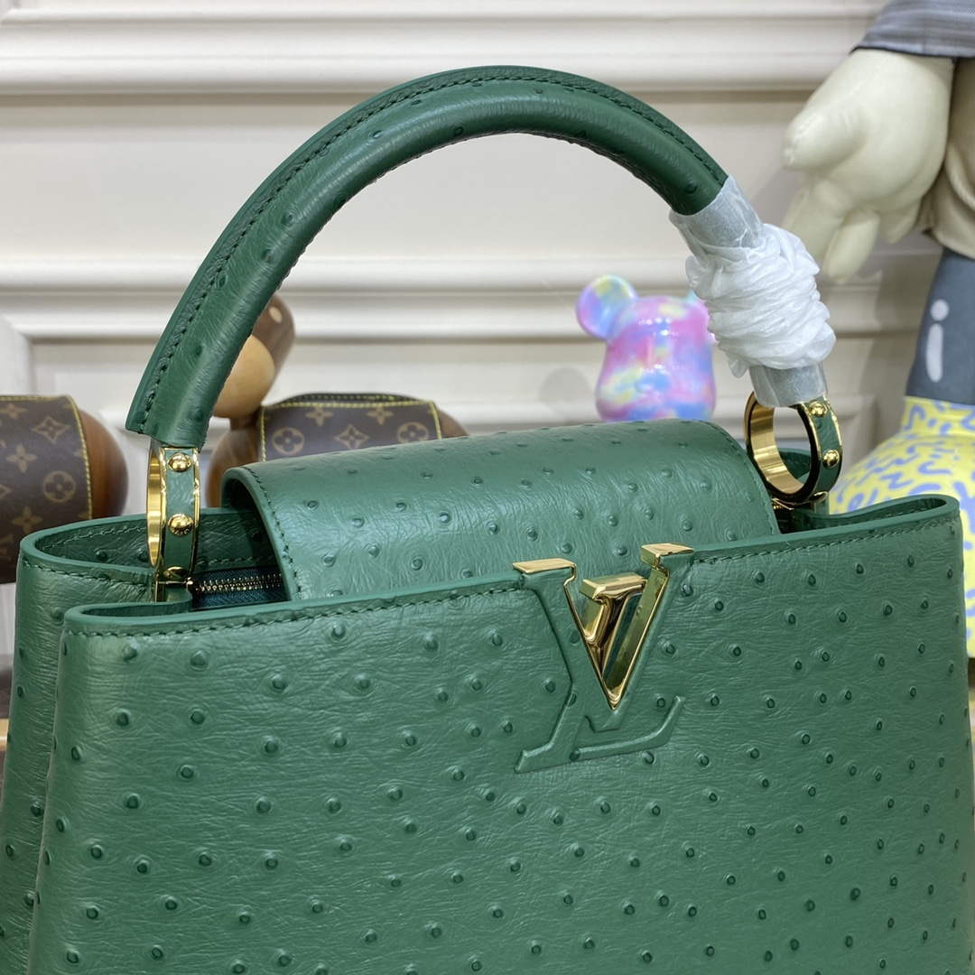 LV N93075 Louis Vuitton Capucines MM Handbag Mint Green - Default Title - View 5