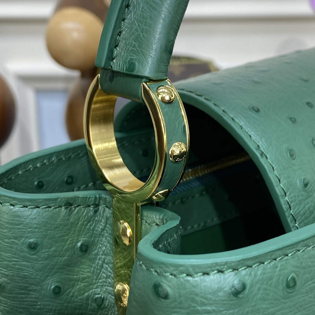 LV N93075 Louis Vuitton Capucines MM Handbag Mint Green - Default Title - View 6