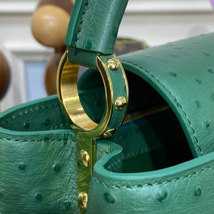 LV N93075 Louis Vuitton Capucines MM Handbag Mint Green - Default Title - View 6