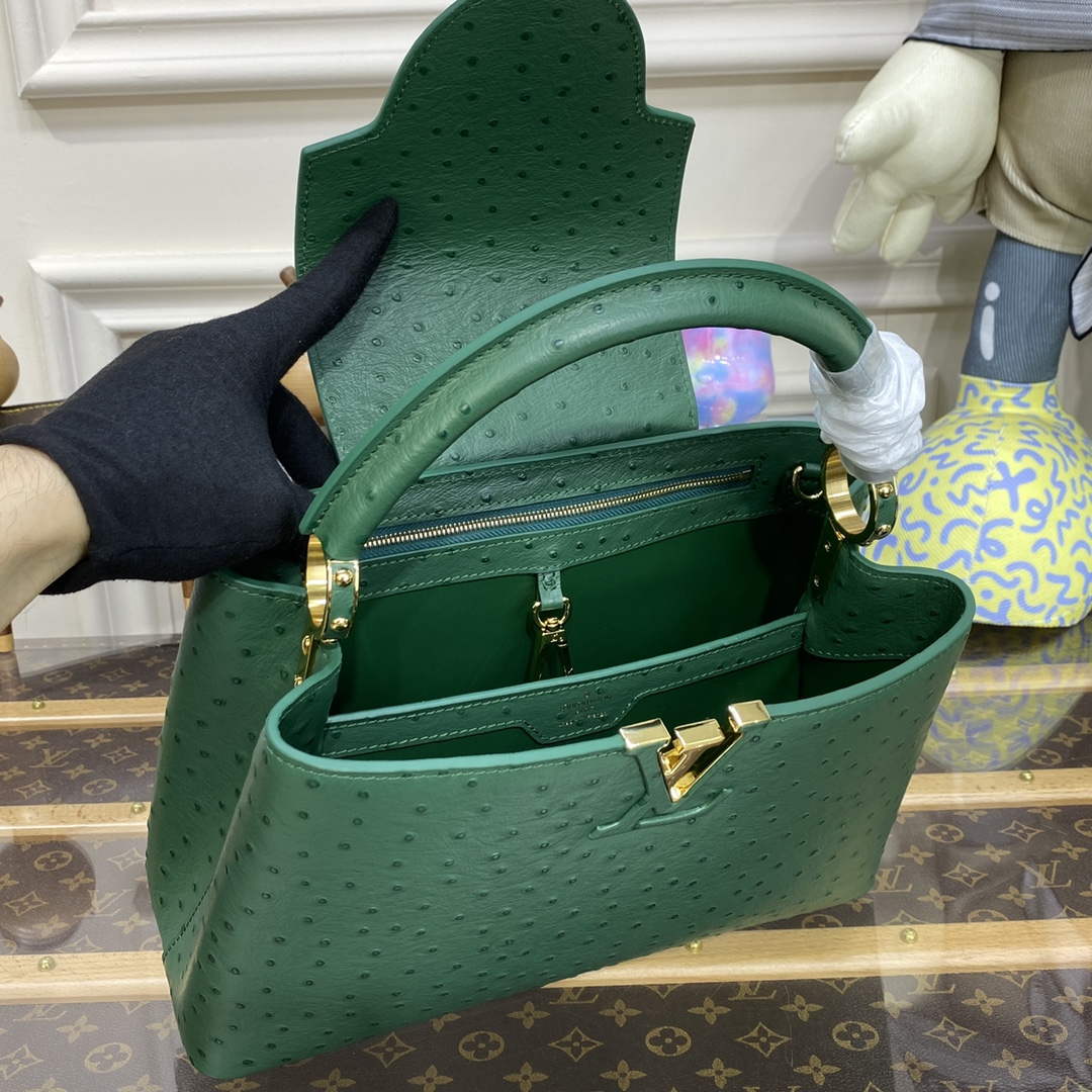 LV N93075 Louis Vuitton Capucines MM Handbag Mint Green - Default Title - View 9