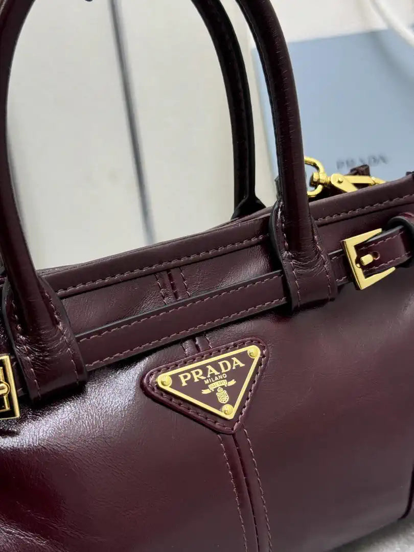 Prada 1BA486 Bonnie leather mini handbag Wine red