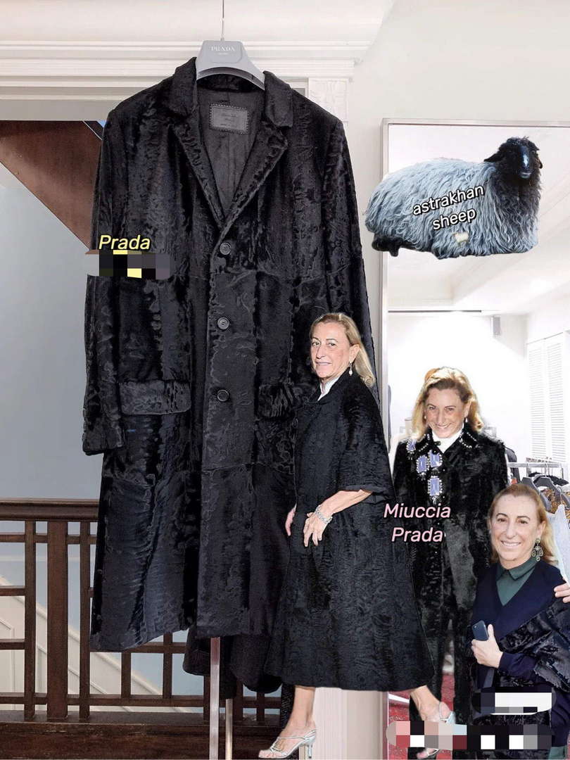 Prada Women's Fashion Clothing Sheepskin Suit Coat P99468