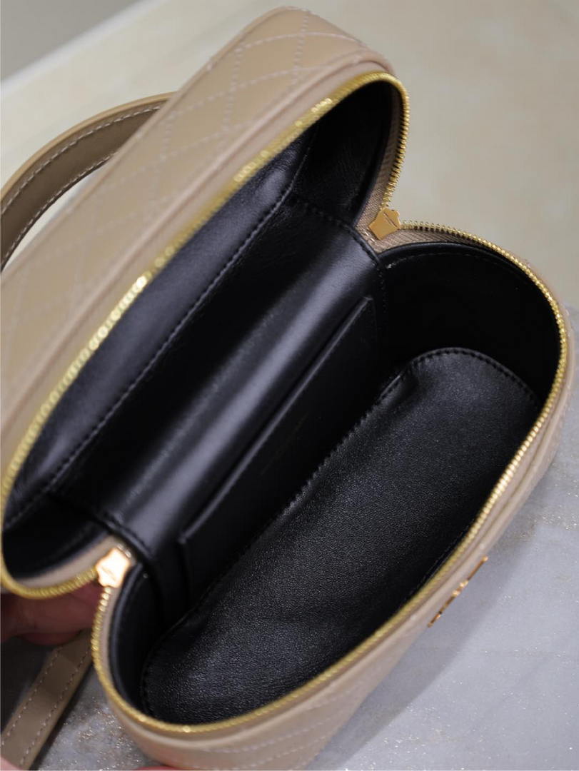 YSL 766731 GABY vanity bag in lambskin apricot