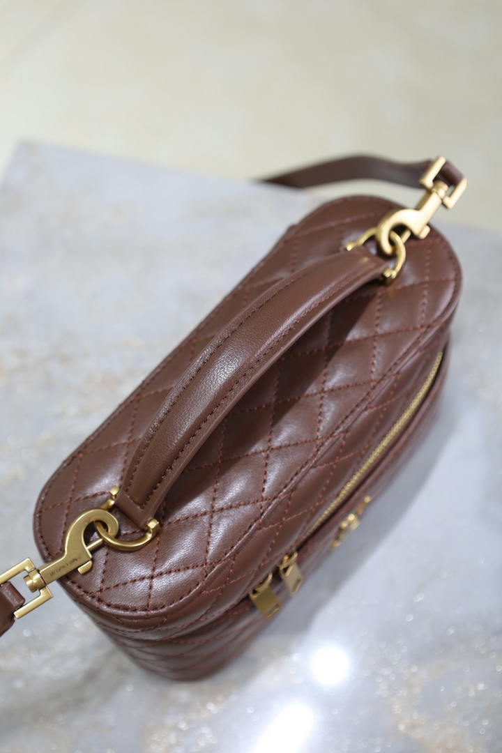 YSL 766731 GABY vanity bag in lambskin coffee brown