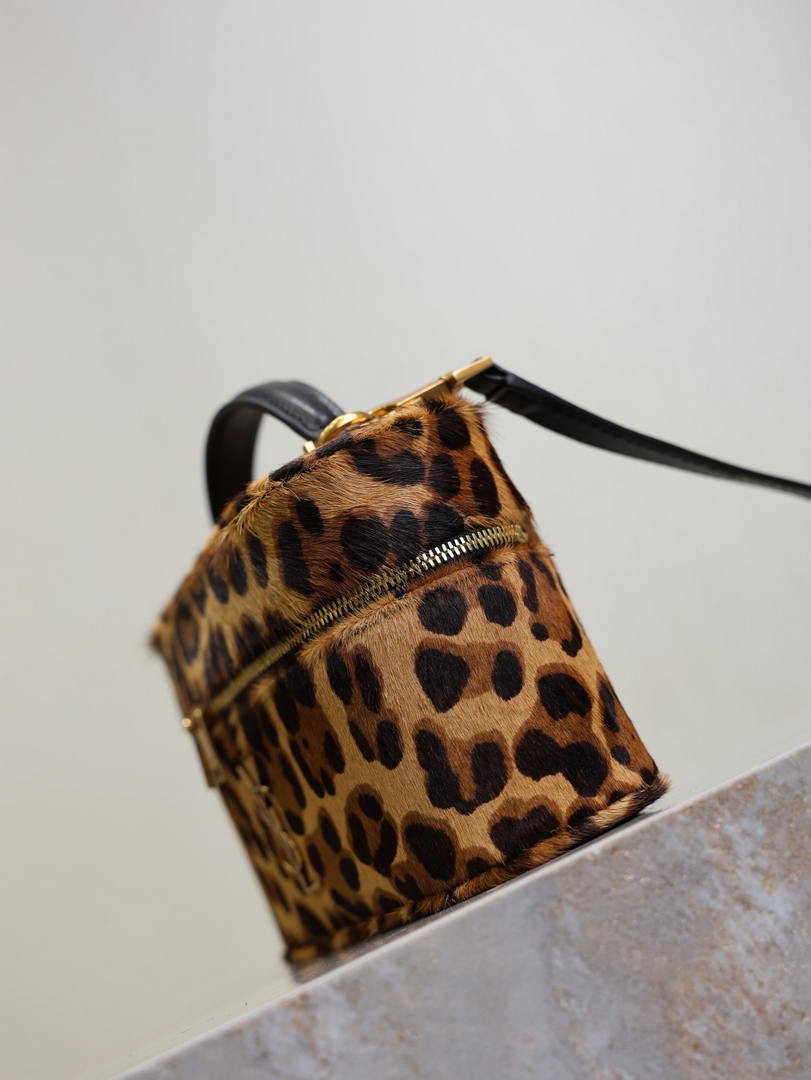 YSL 766731 GABY vanity bag in Leopard print