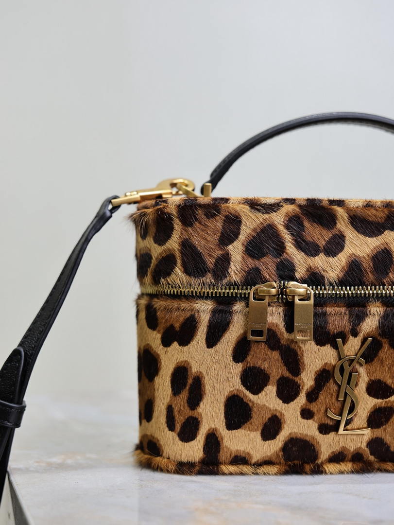 YSL 766731 GABY vanity bag in Leopard print