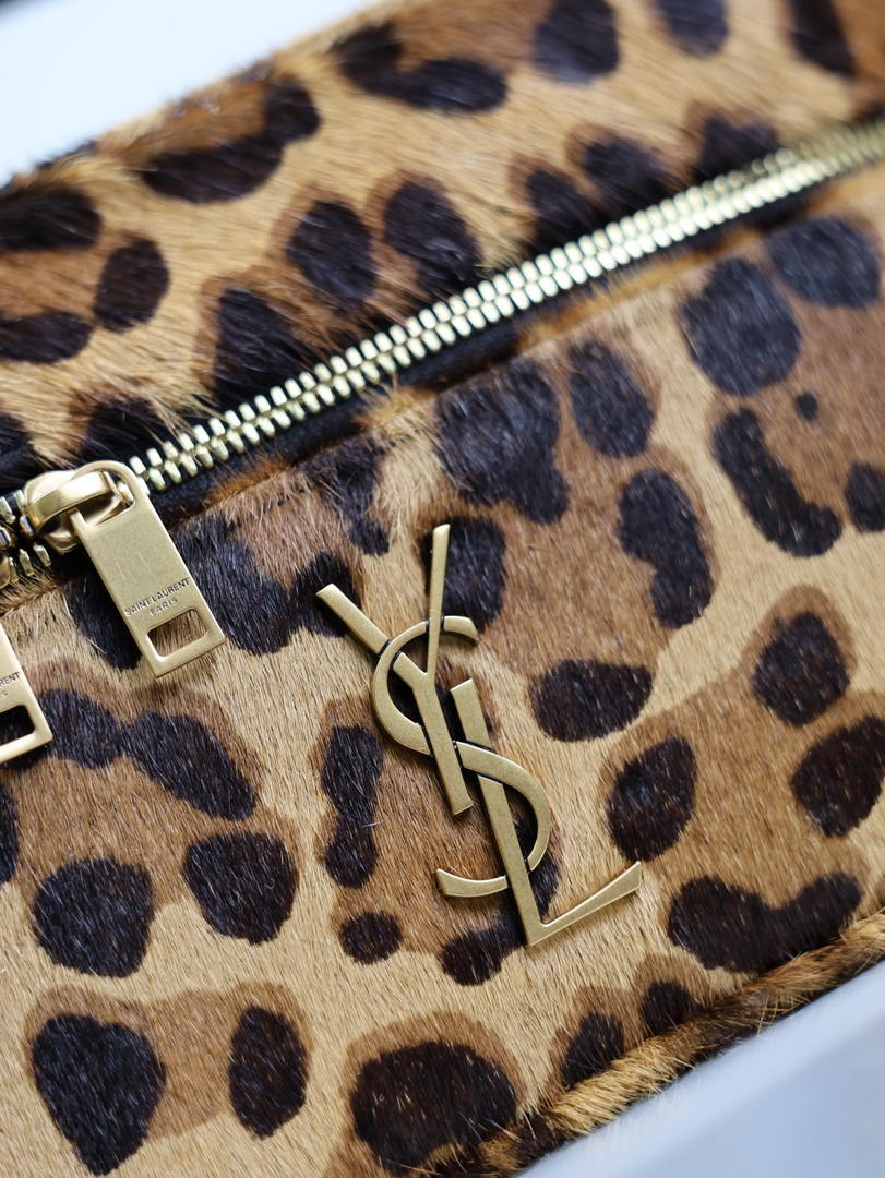 YSL 766731 GABY vanity bag in Leopard print