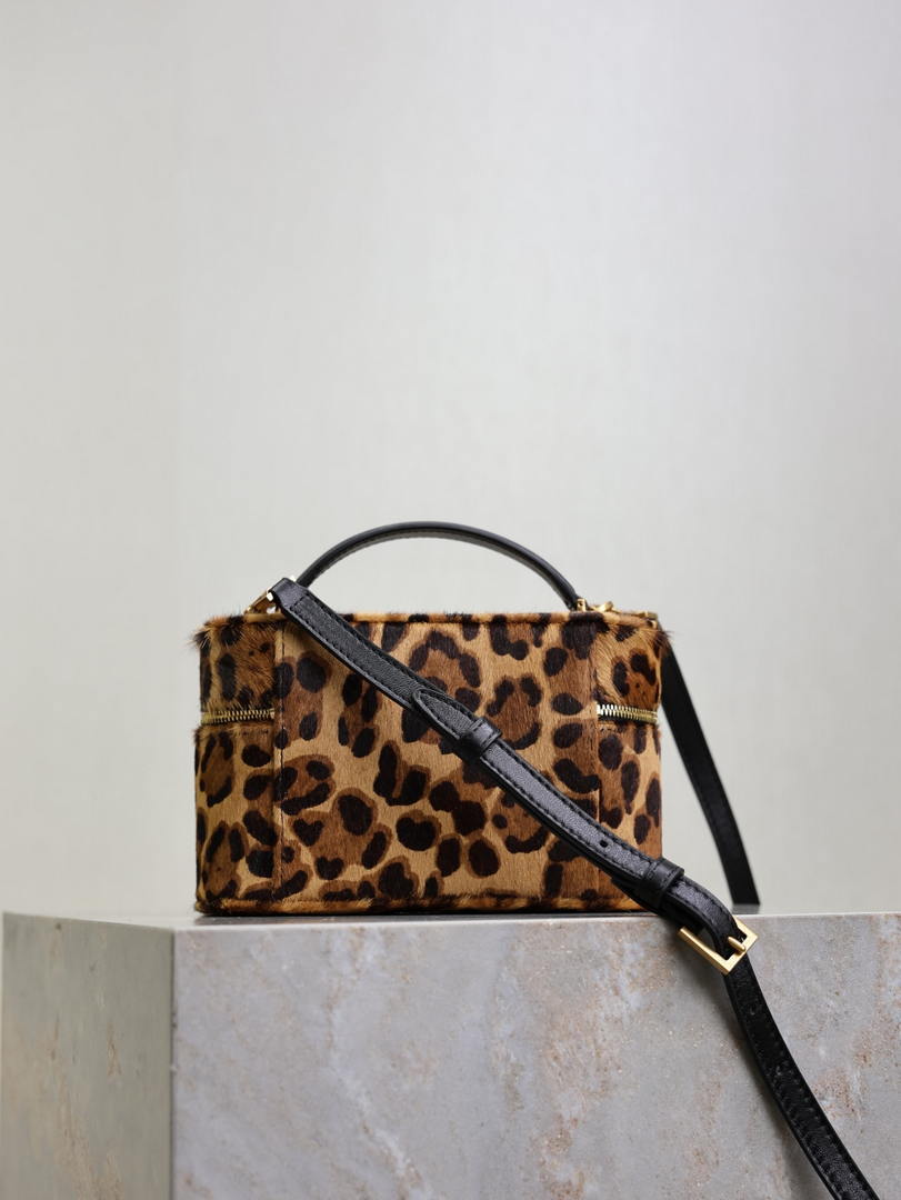 YSL 766731 GABY vanity bag in Leopard print