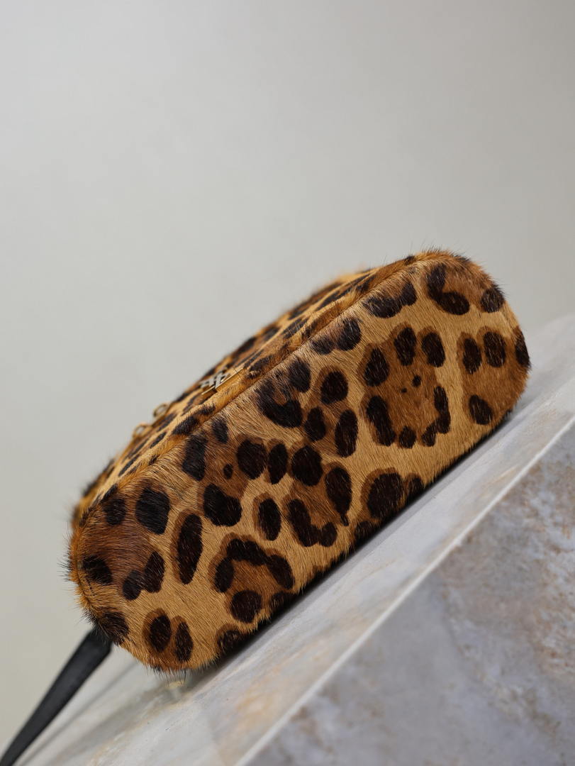 YSL 766731 GABY vanity bag in Leopard print